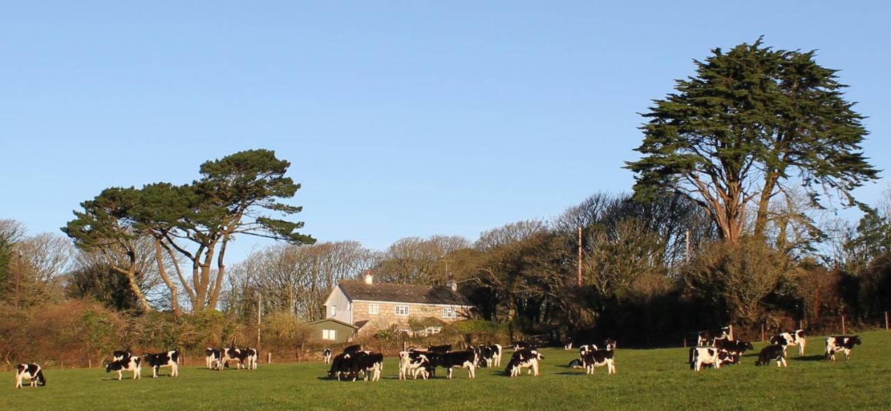 Coombe Farmhouse Bed & Breakfast St Ives Екстериор снимка
