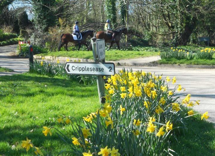 Coombe Farmhouse Bed & Breakfast St Ives Екстериор снимка