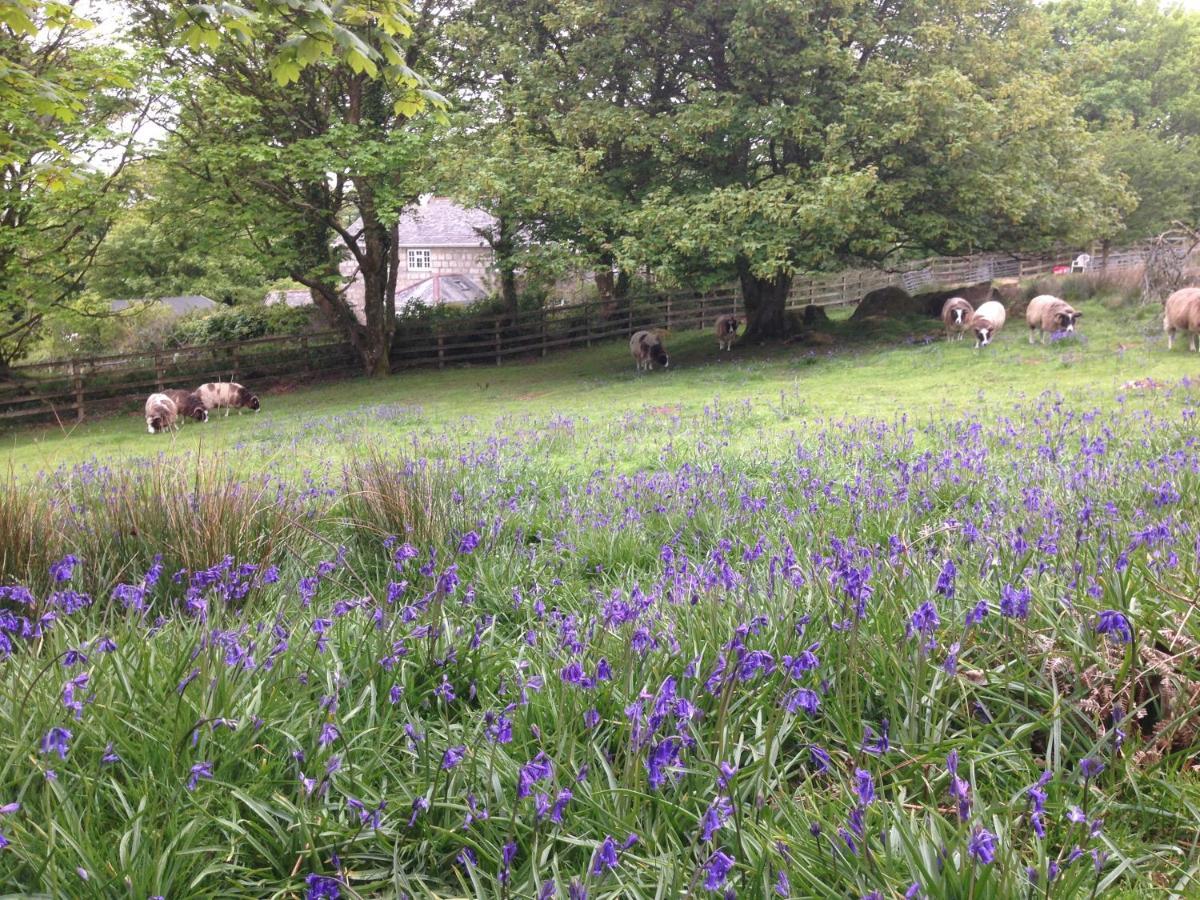 Coombe Farmhouse Bed & Breakfast St Ives Екстериор снимка